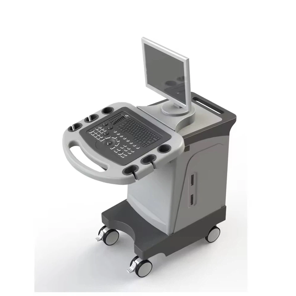 Trolley Color Doppler Ultrasound System FTL-UTS1000 suppliers